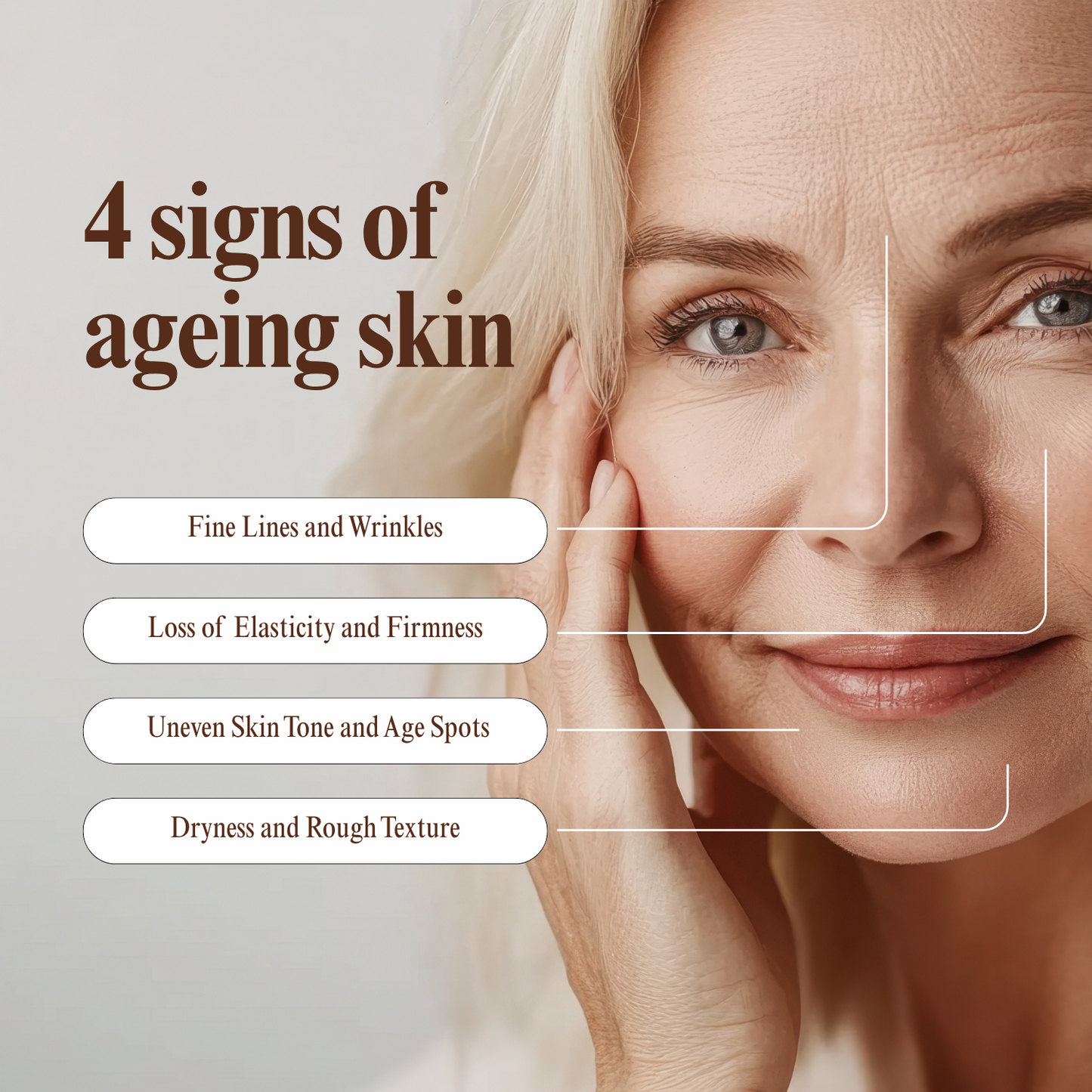 Anti-Aging Cream With Bakuchiol & Gotu Kola