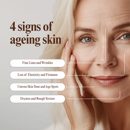 Anti-Aging Cream With Bakuchiol & Gotu Kola
