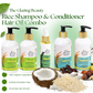 Rice Shampoo, Conditioner & Rosemary Hair Oil Combo